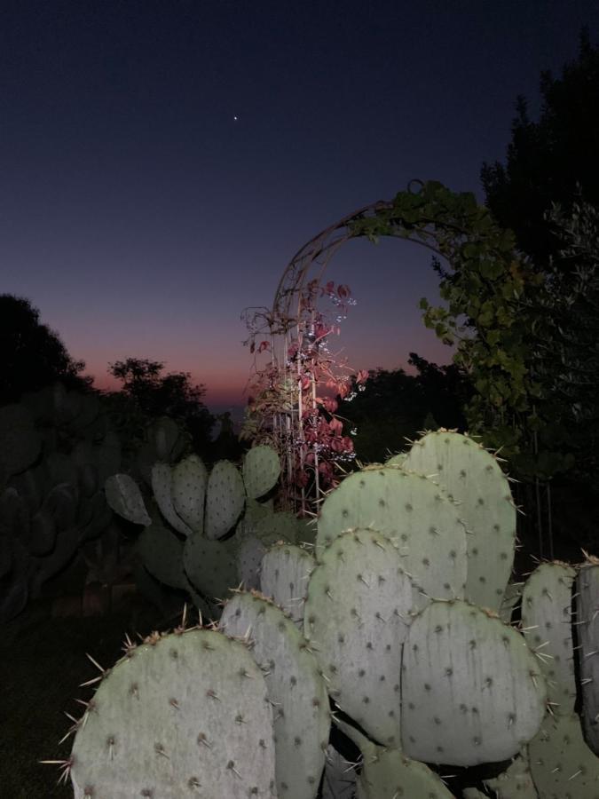 Ca' Degli Ovi B&B Valenza Kültér fotó