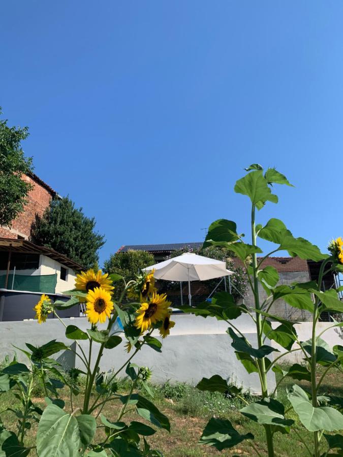 Ca' Degli Ovi B&B Valenza Kültér fotó