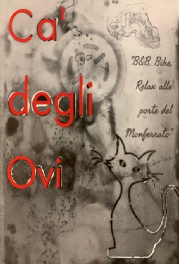 Ca' Degli Ovi B&B Valenza Kültér fotó