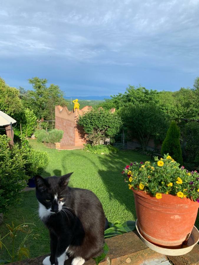 Ca' Degli Ovi B&B Valenza Kültér fotó